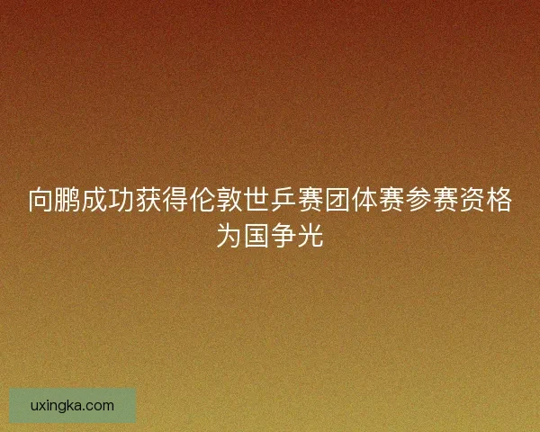 向鹏成功获得伦敦世乒赛团体赛参赛资格为国争光