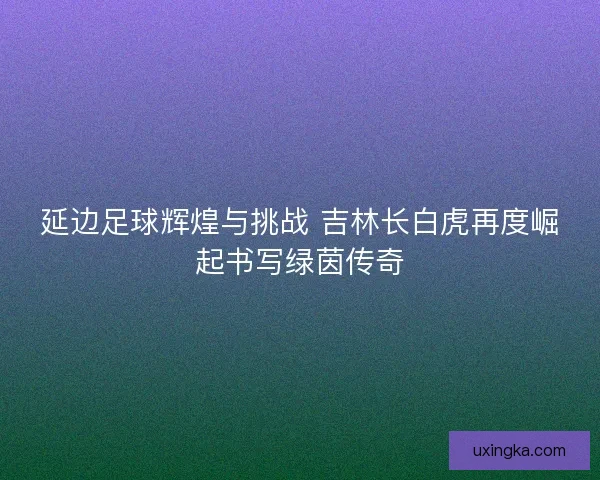 延边足球辉煌与挑战 吉林长白虎再度崛起书写绿茵传奇
